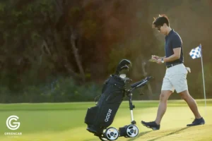 Todo sobre Carros de golf eléctricos